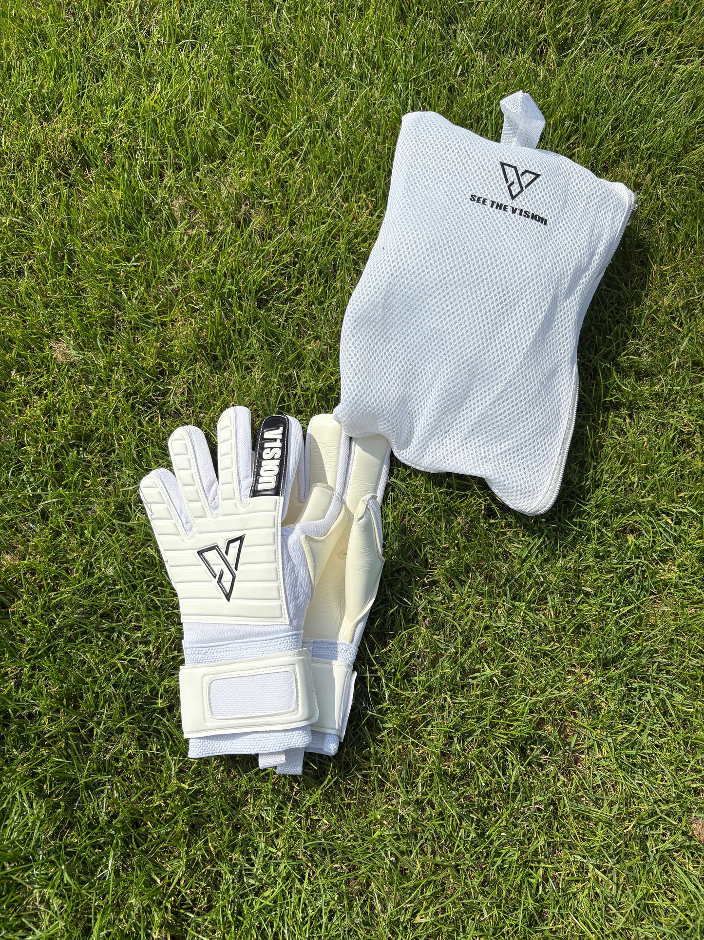 V1SION PRO