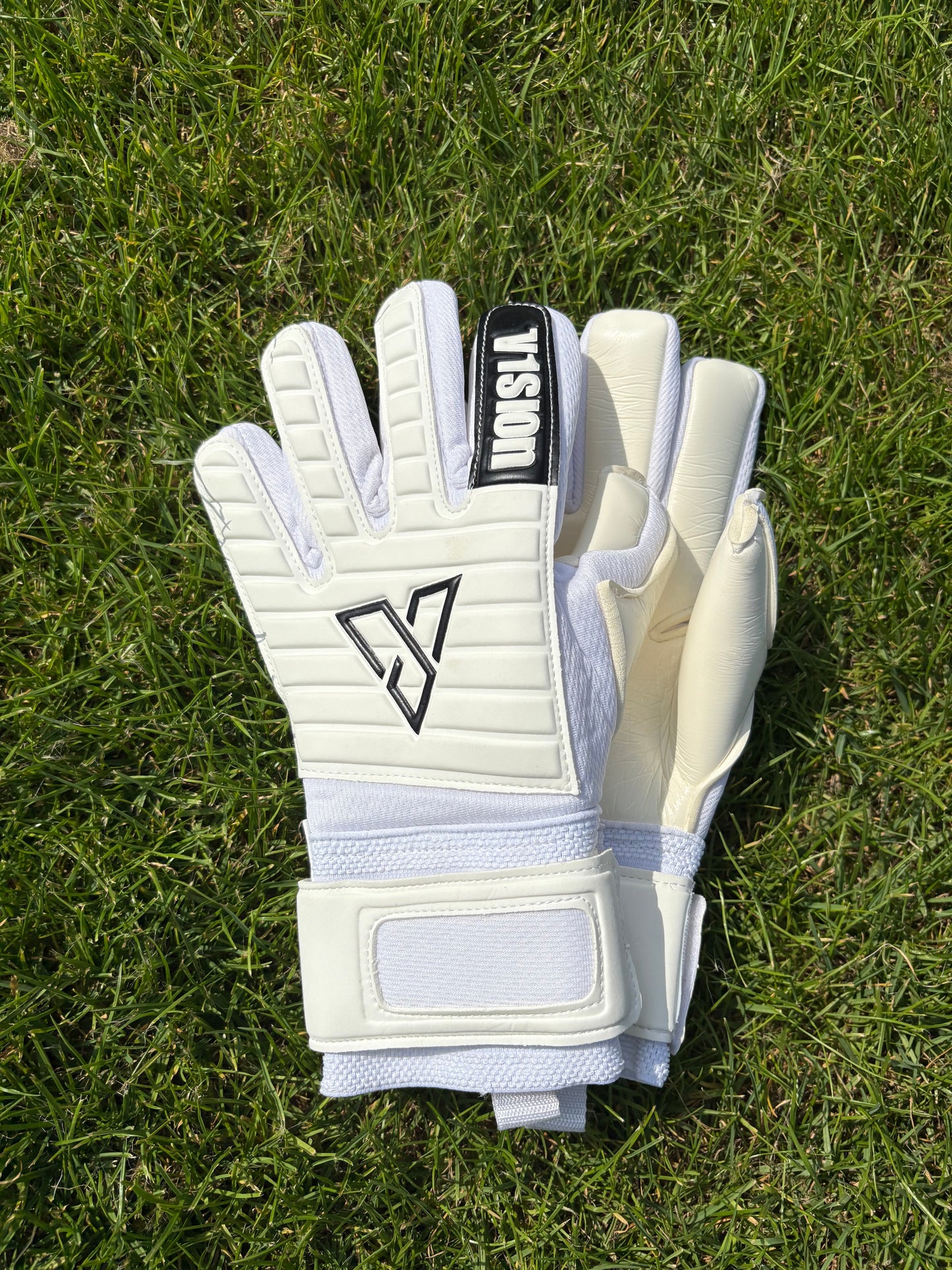 V1SION PRO