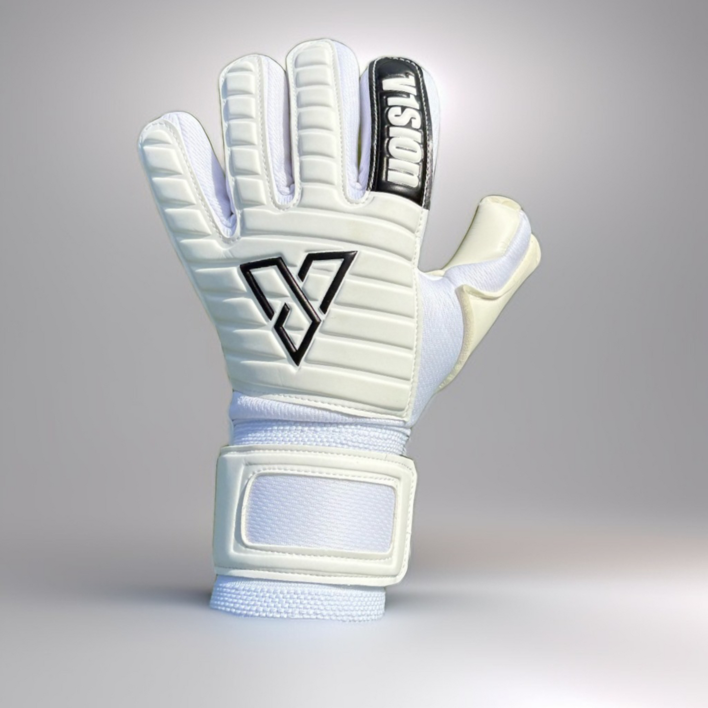 V1SION PRO