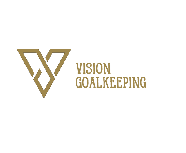 V1SION Goalkeeping