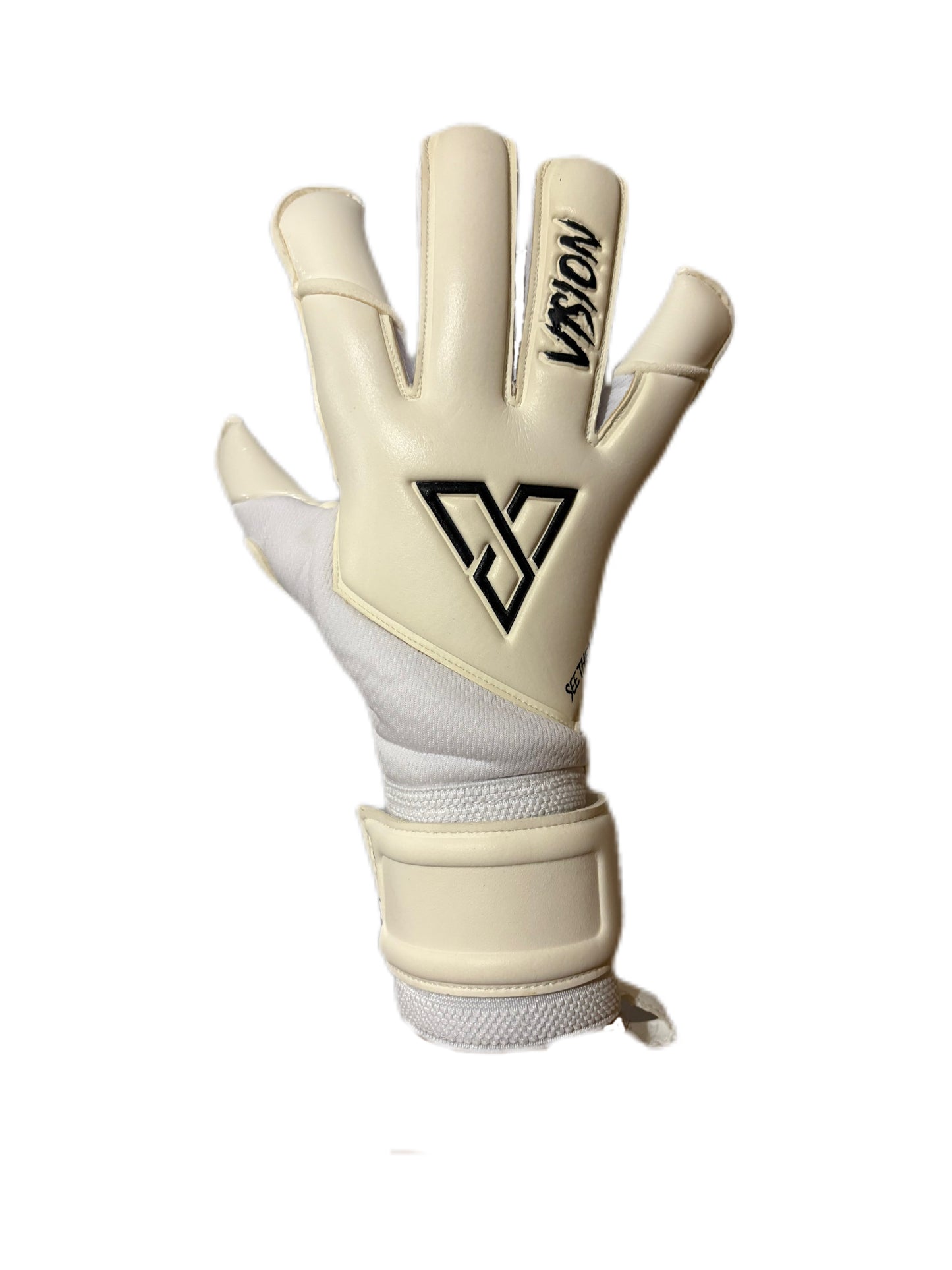 V1SION Classic