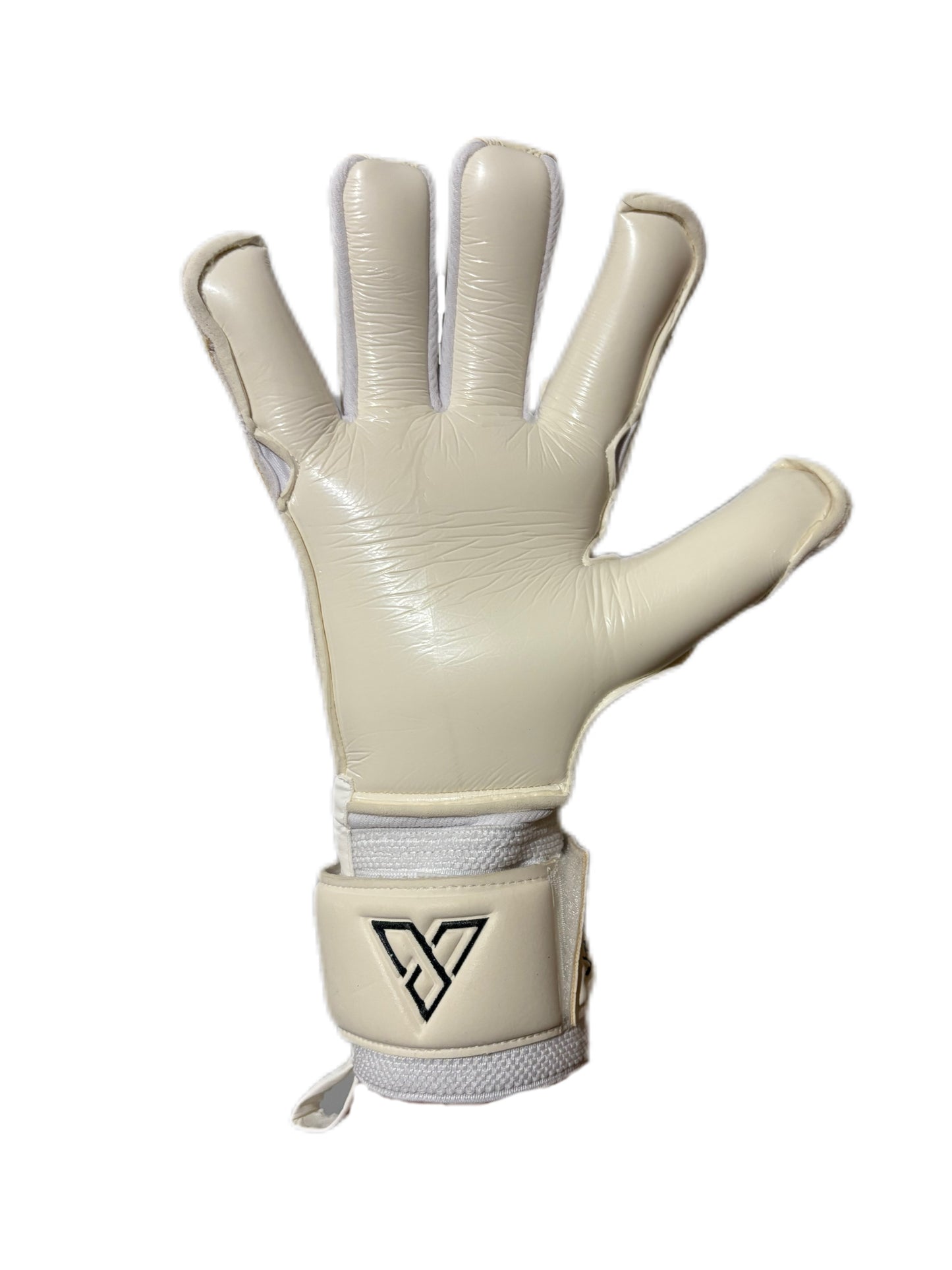 V1SION Classic