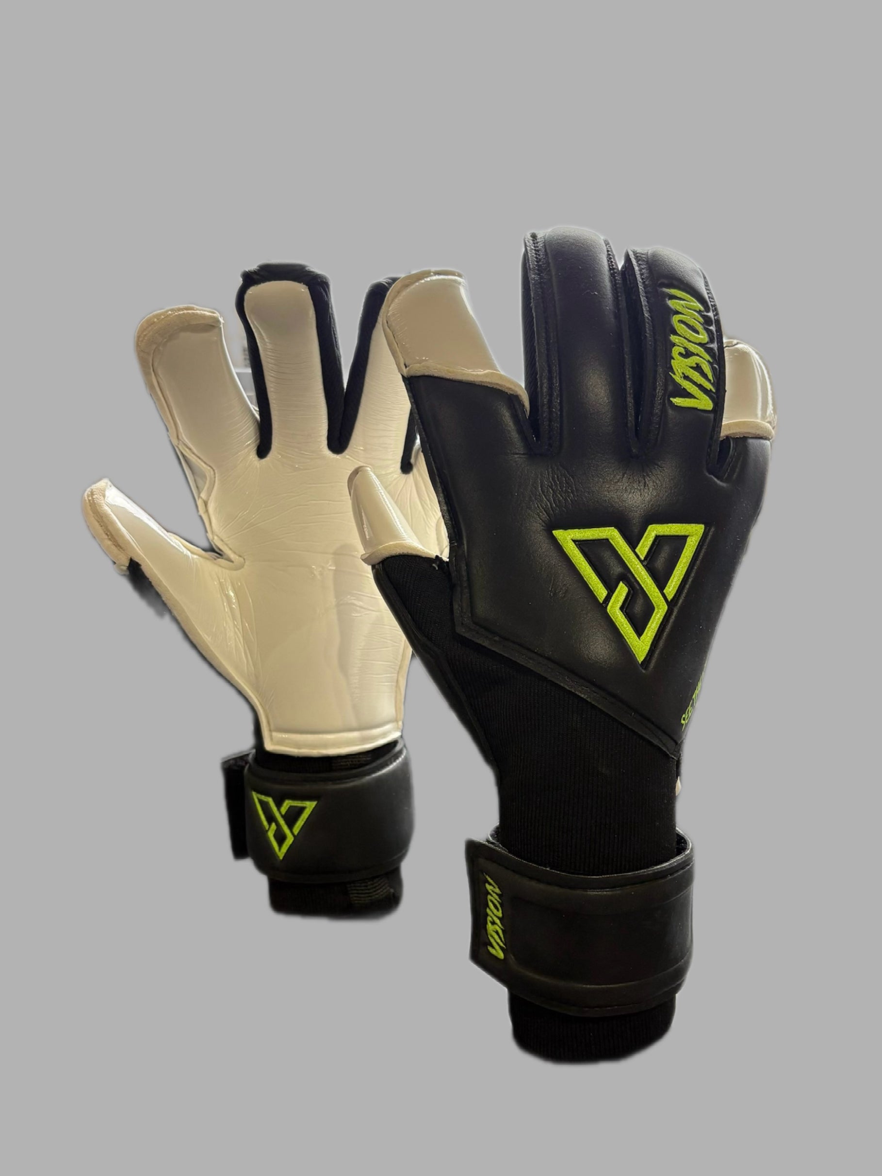 V1SION CLASSIC 2.0
