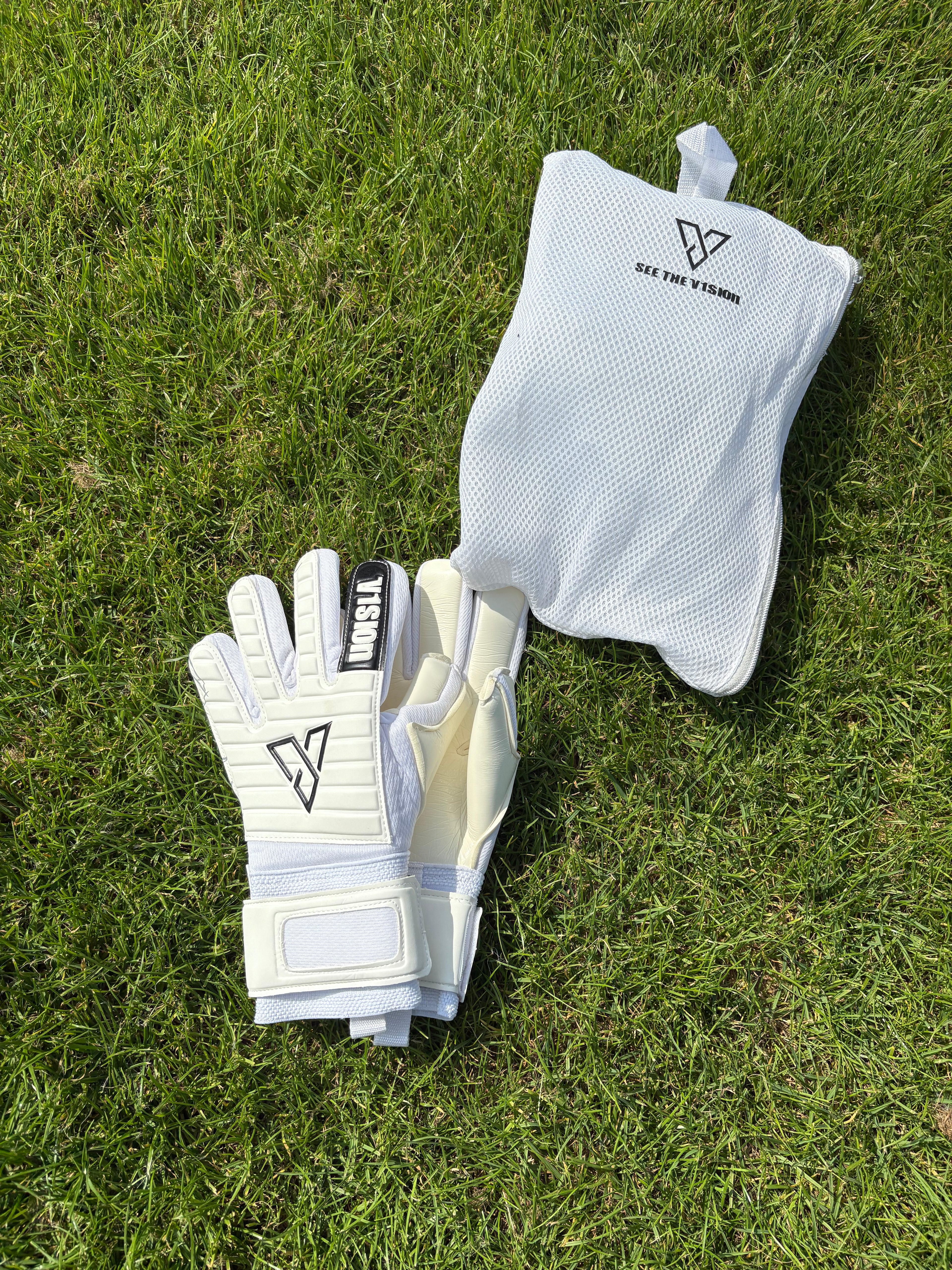 V1SION PRO
