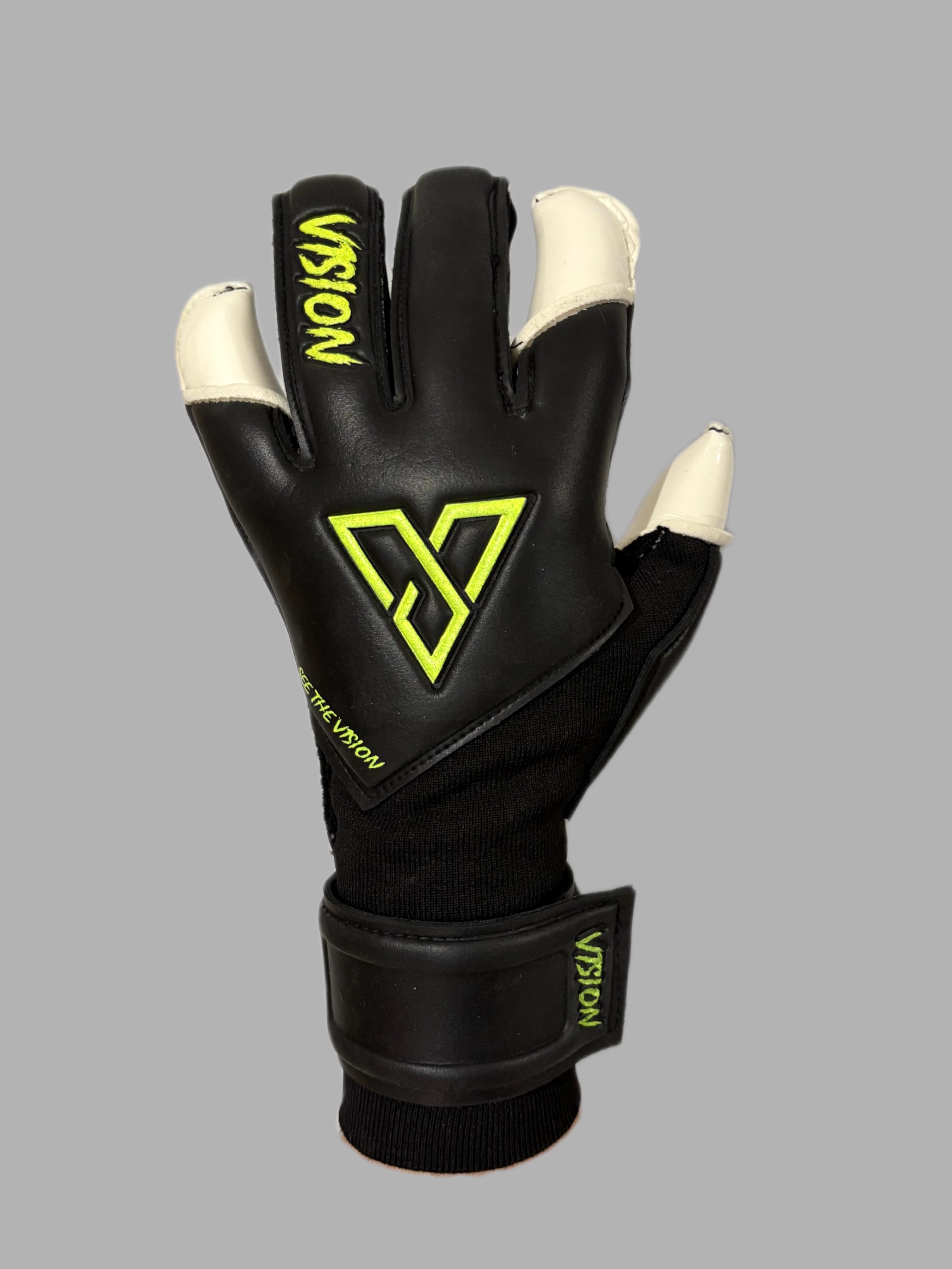 V1SION CLASSIC 2.0