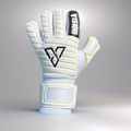V1SION PRO