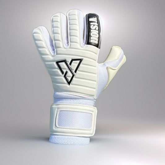 V1SION PRO