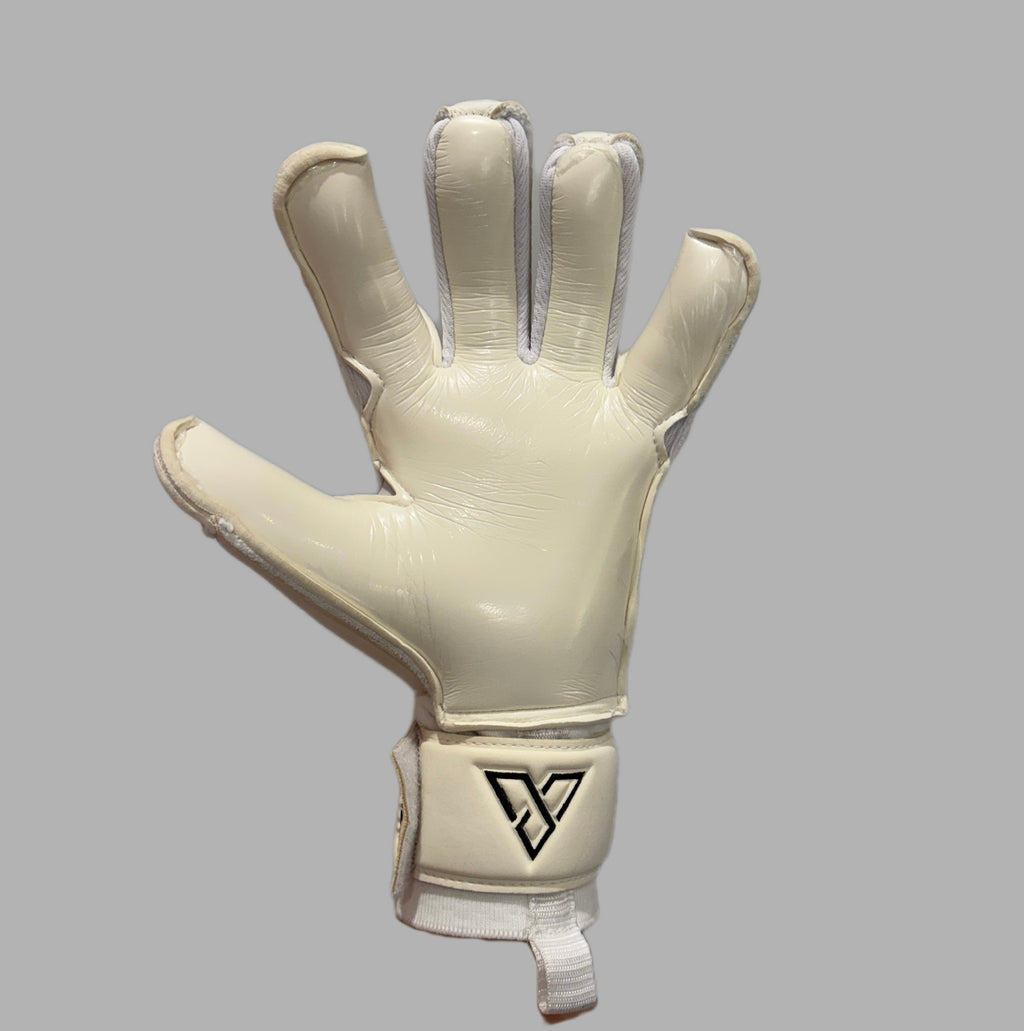 V1SION CLASSIC 2.0