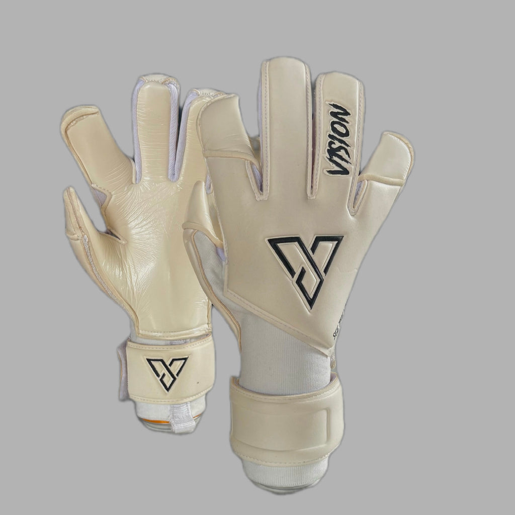 V1SION CLASSIC 2.0