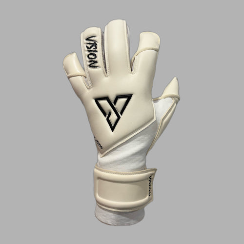 V1SION CLASSIC 2.0