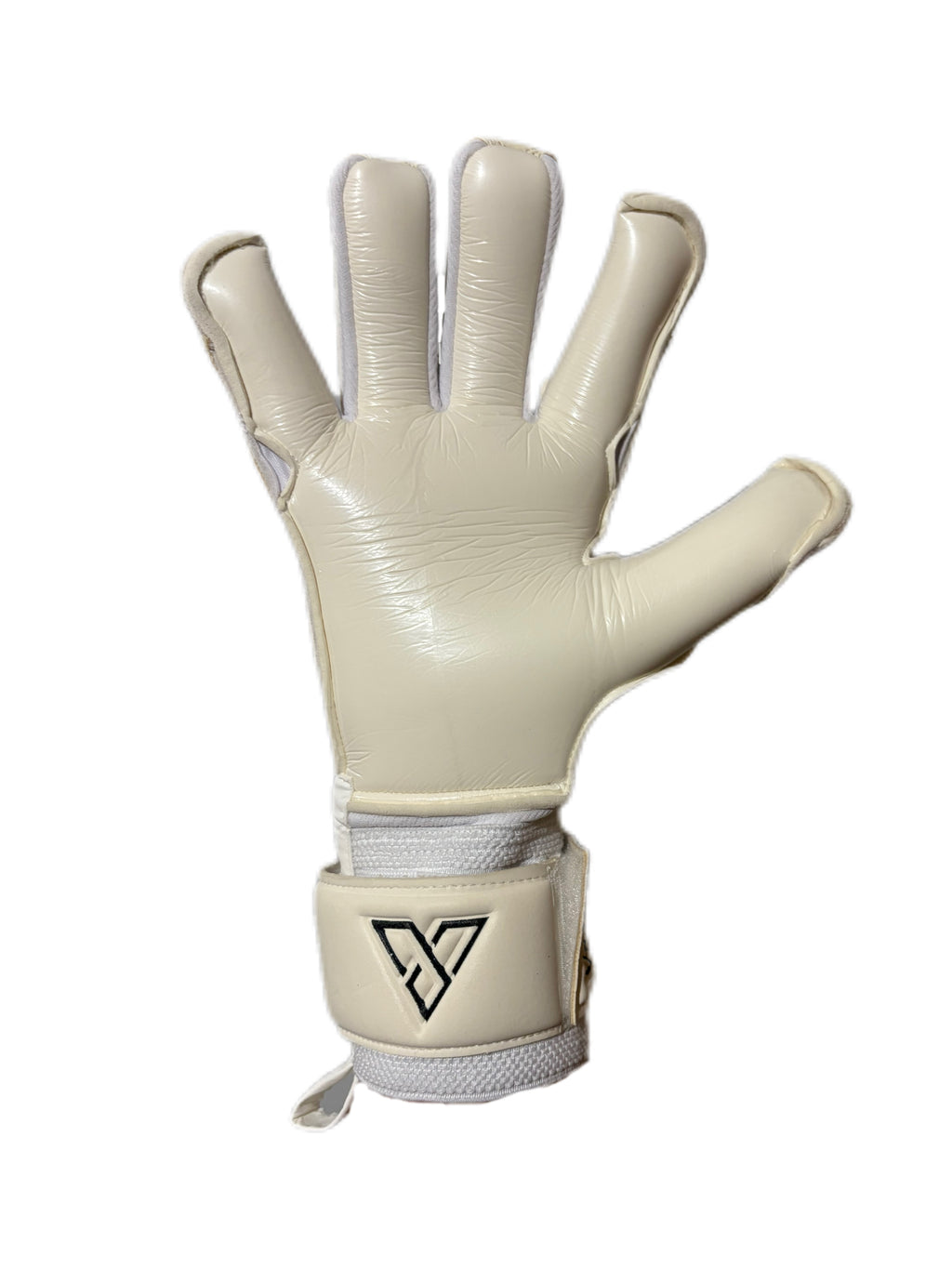 V1SION Classic