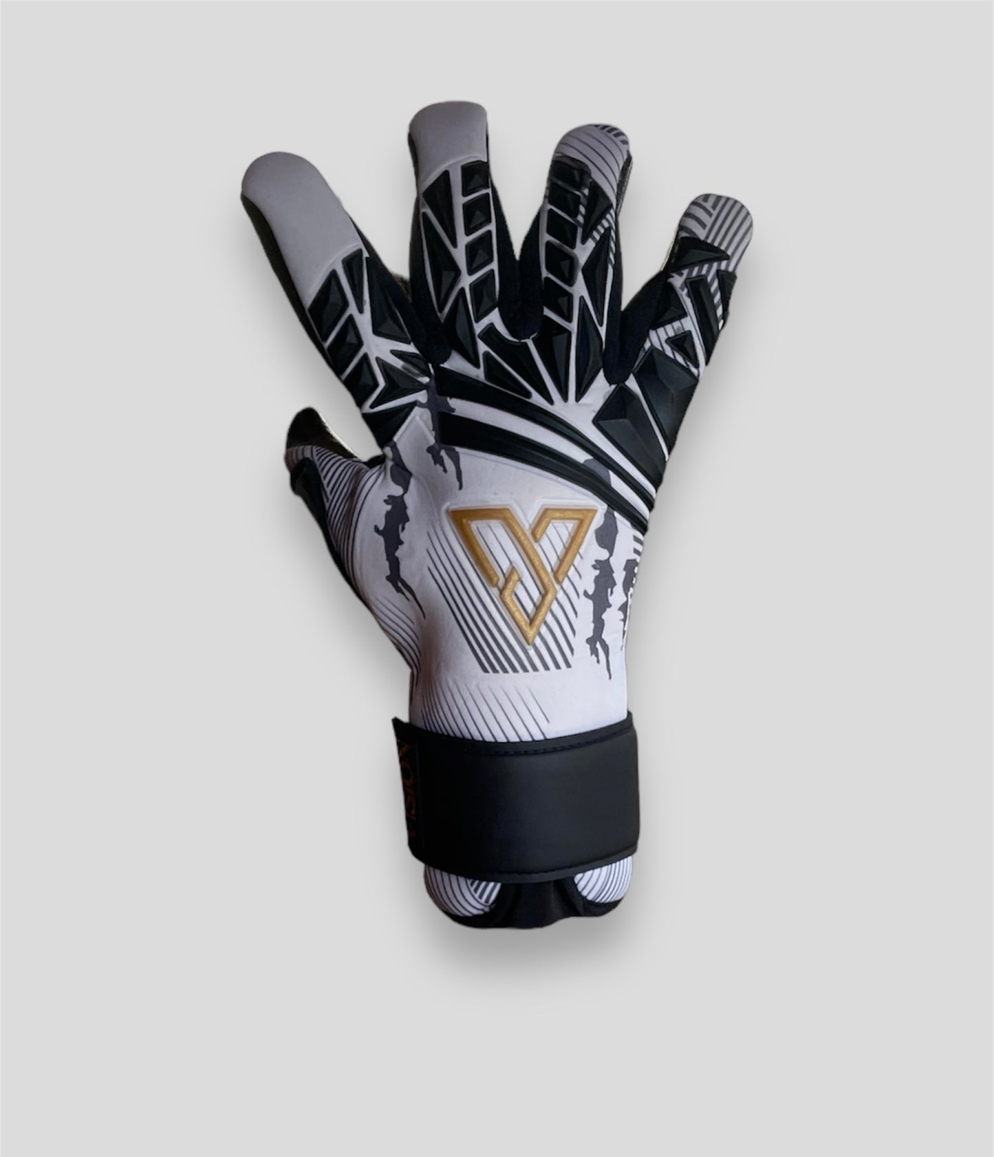 V1SION Elite Goalkeeper Gloves